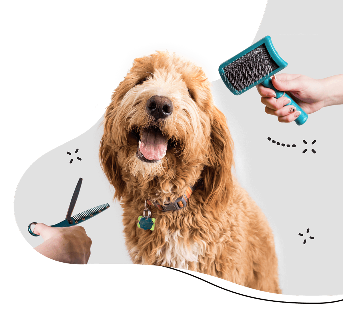 https://www.nhpetgrooming.com/wp-content/uploads/2019/08/hero_home_3.png